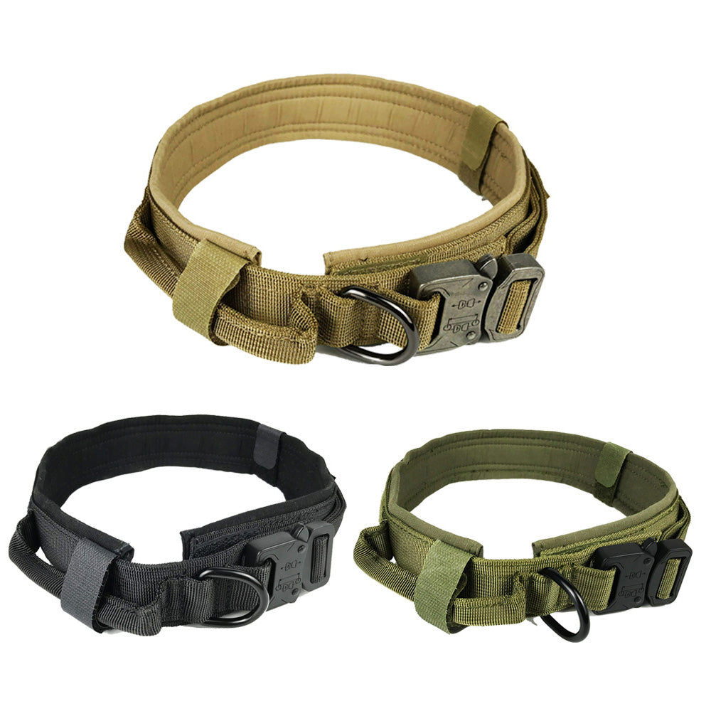 Adjustable Nylon Dog Collar