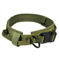 Adjustable Nylon Dog Collar