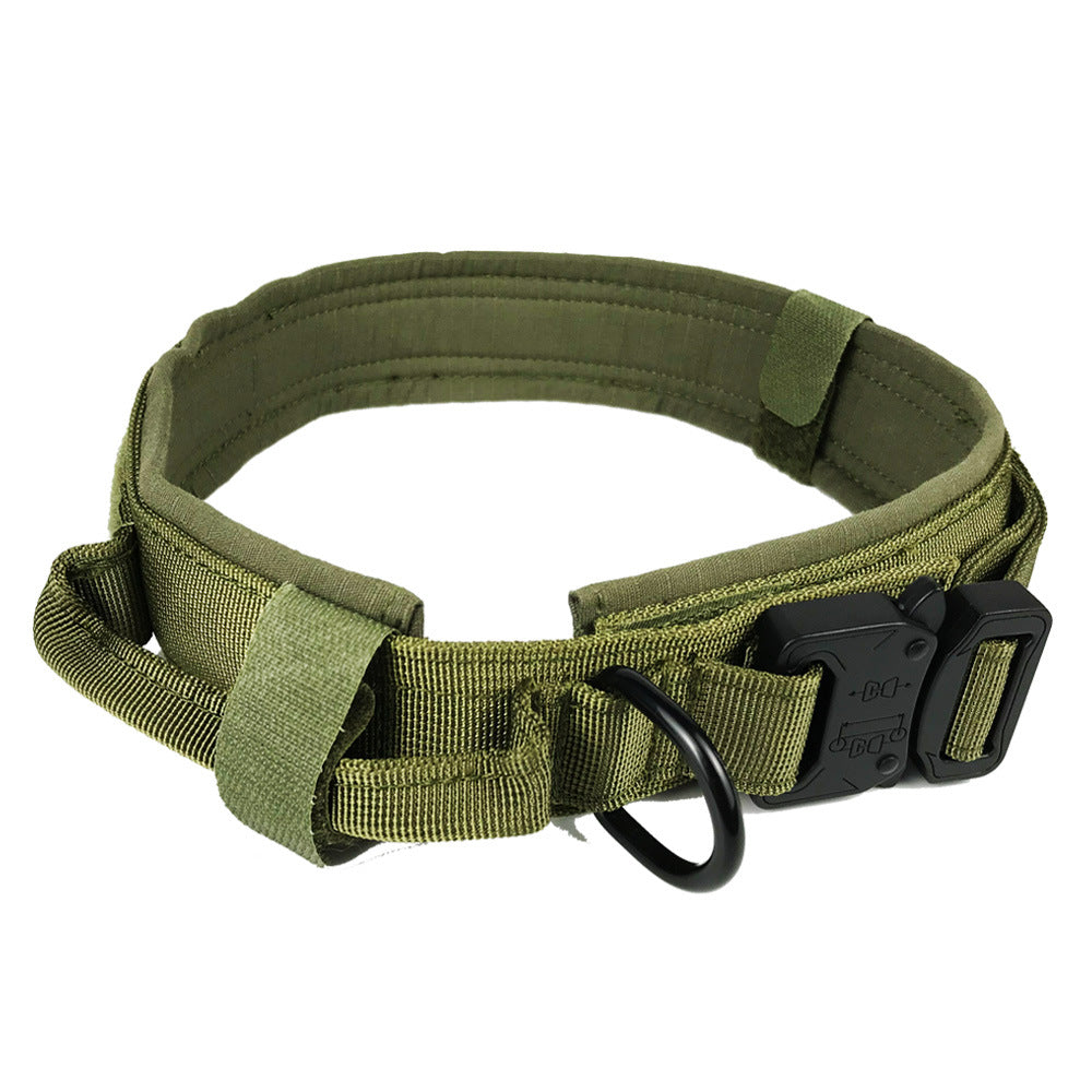 Adjustable Nylon Dog Collar