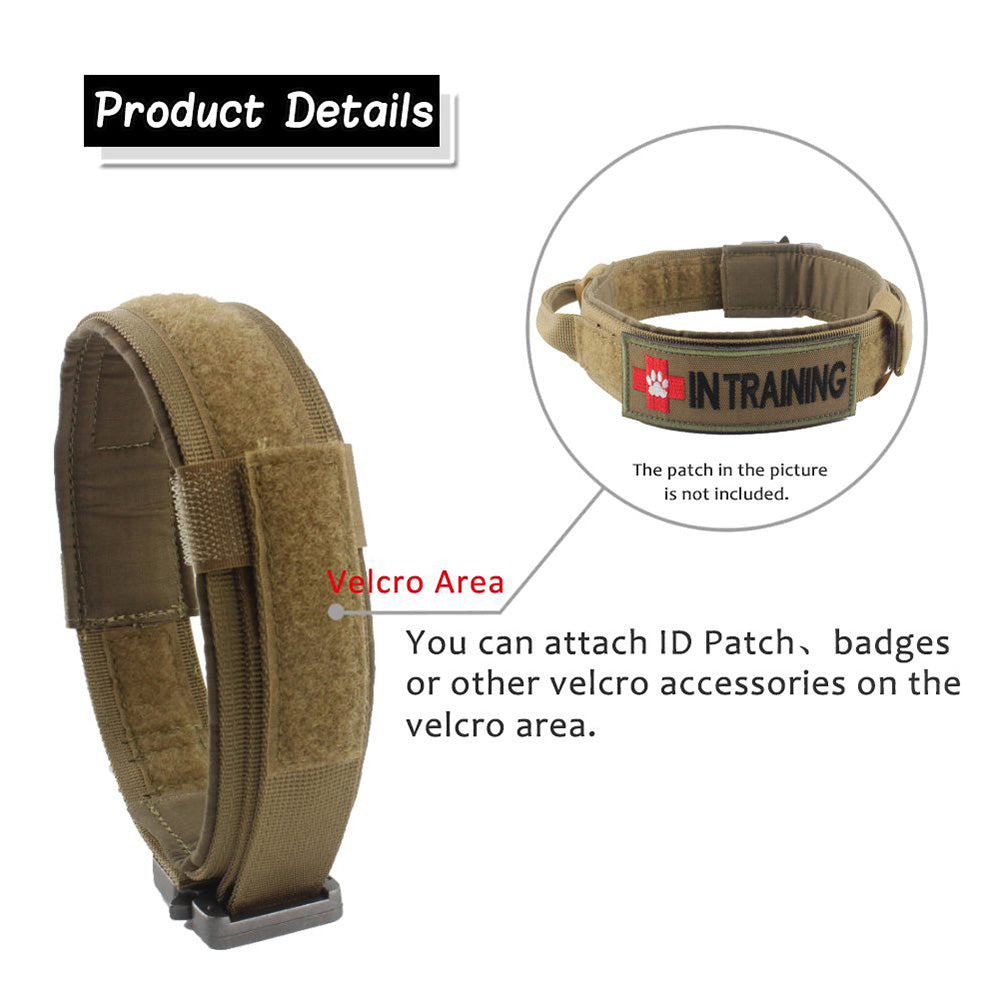 Adjustable Nylon Dog Collar