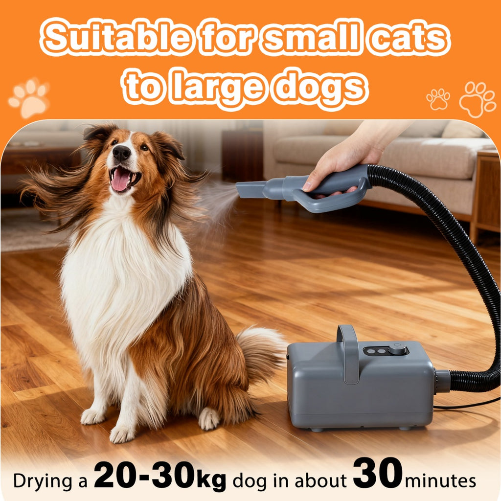 1550W High Velocity Pet Blow Dryer With Heater For Grooming, Speed Temperature Adjustable Dog Blower Grooming Dryer With 4 Nozzles