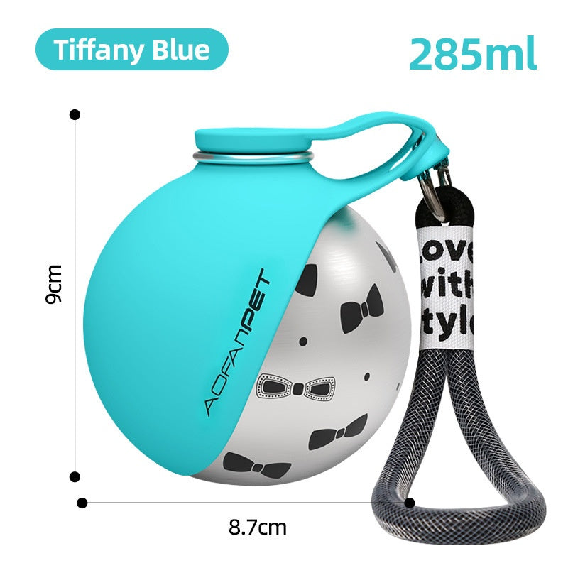 Portable Stainless Steel Pet Water Bottle with Bowl