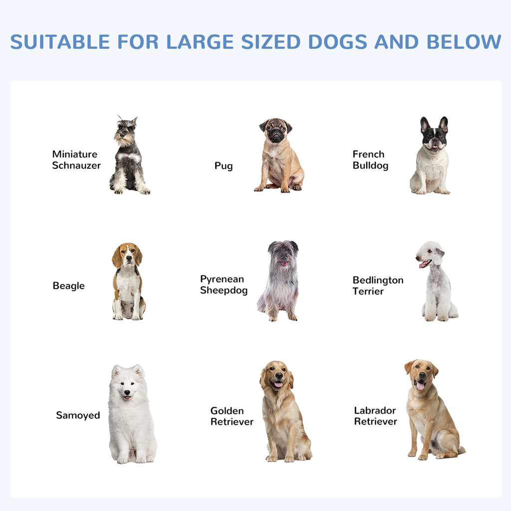 Outdoor Dog Kennel Galvanized Fence with Cover Secure Lock Sidewalls for Backyard 9.8' x 9.8' x 7.7'