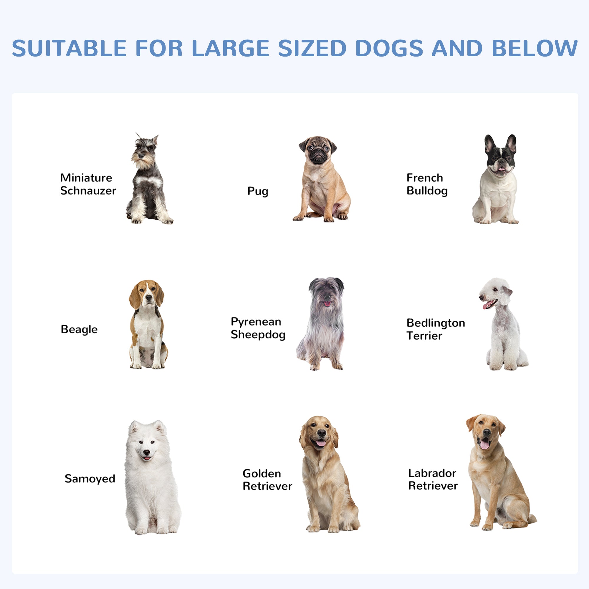 Outdoor Dog Kennel Galvanized Fence with Cover Secure Lock Sidewalls for Backyard 9.8' x 9.8' x 7.7'