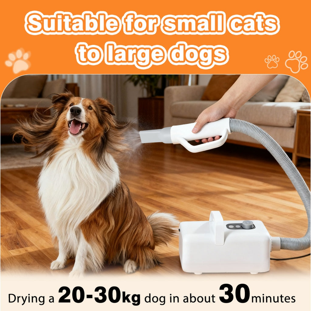 1550W High Velocity Pet Blow Dryer With Heater For Grooming, Speed Temperature Adjustable Dog Blower Grooming Dryer With 4 Nozzles