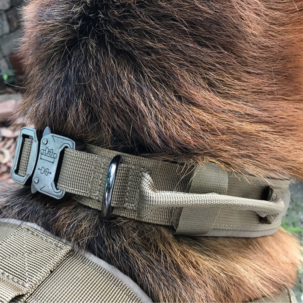 Adjustable Nylon Dog Collar