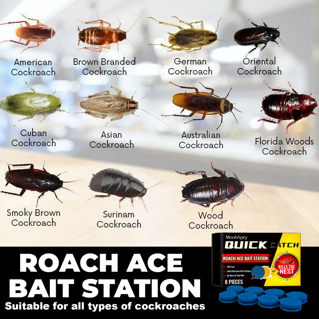 Insect Repellent Cockroach Bait Kitchen Home Cockroach Extermination Full Nest Cleaning Agent
