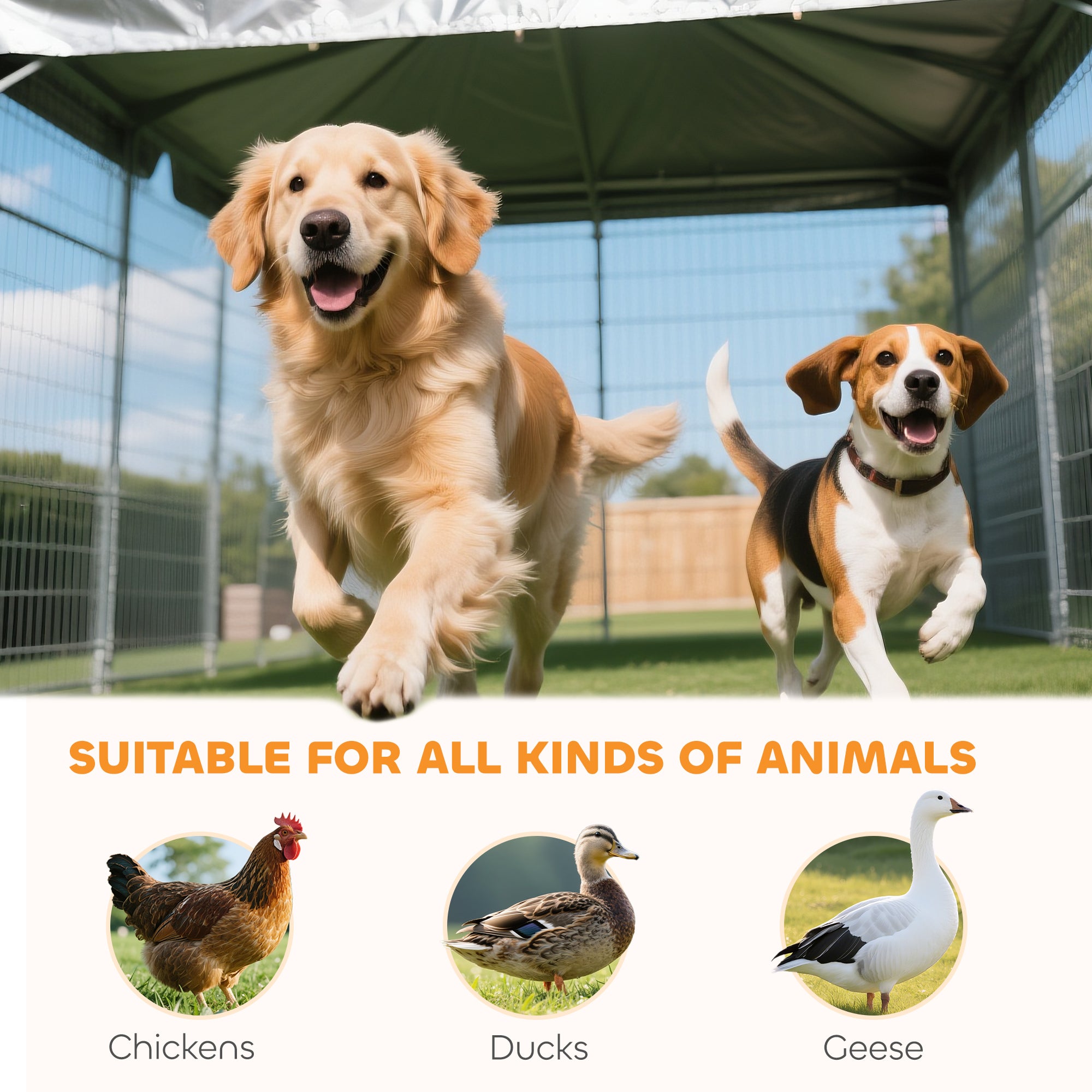 5.9' x 5.9' x 6' Outdoor Dog Kennel with Roof, Rotating & 4-Level Adjustable Bowls