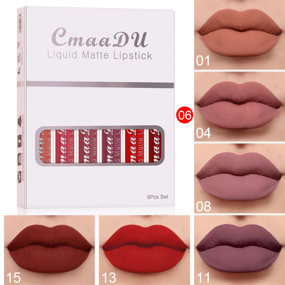Matte Waterproof Long-Lasting Lipstick (Set of 6)